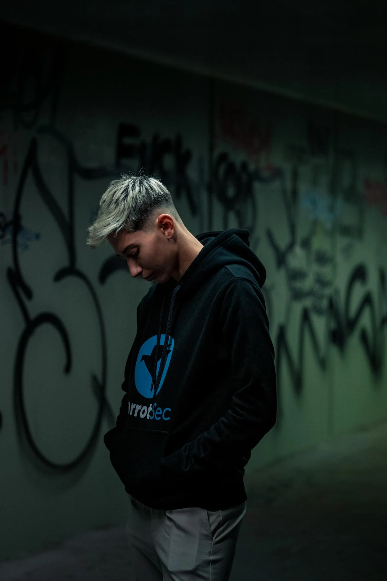 ParrotSec Hoodie - Image 6