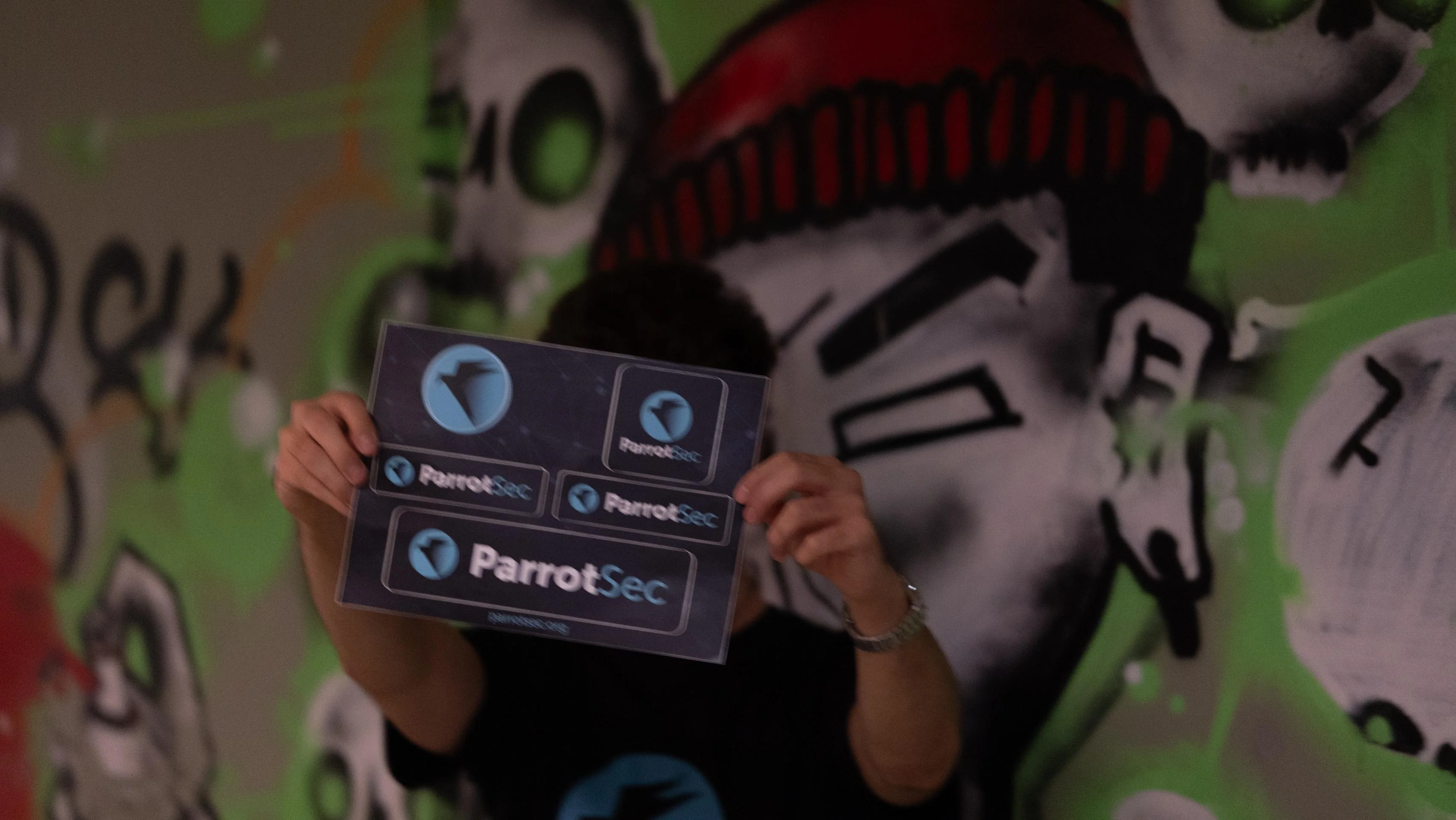 5x ParrotSec Sticker Sheet - Image 10