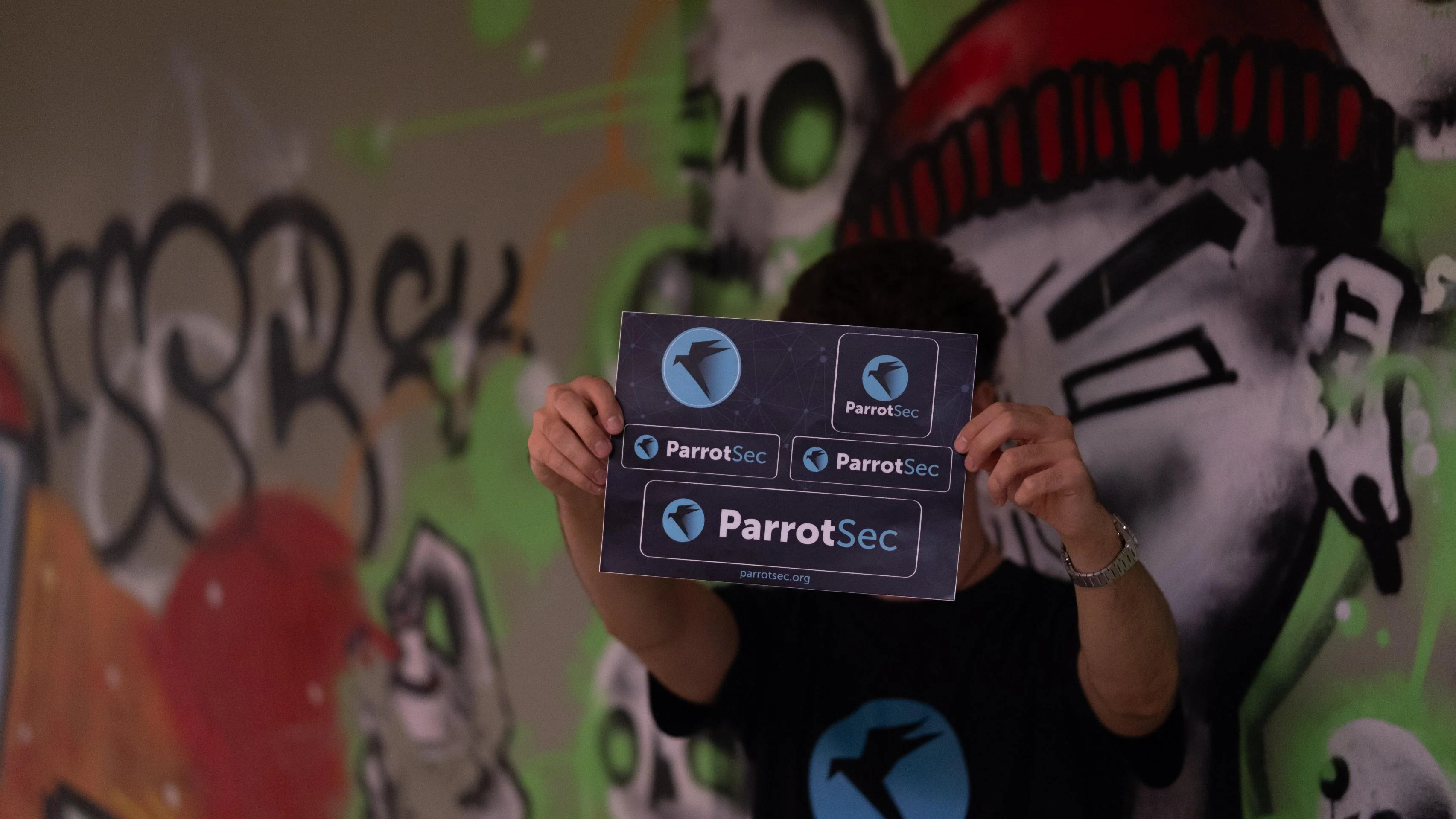 5x ParrotSec Sticker Sheet - Image 11