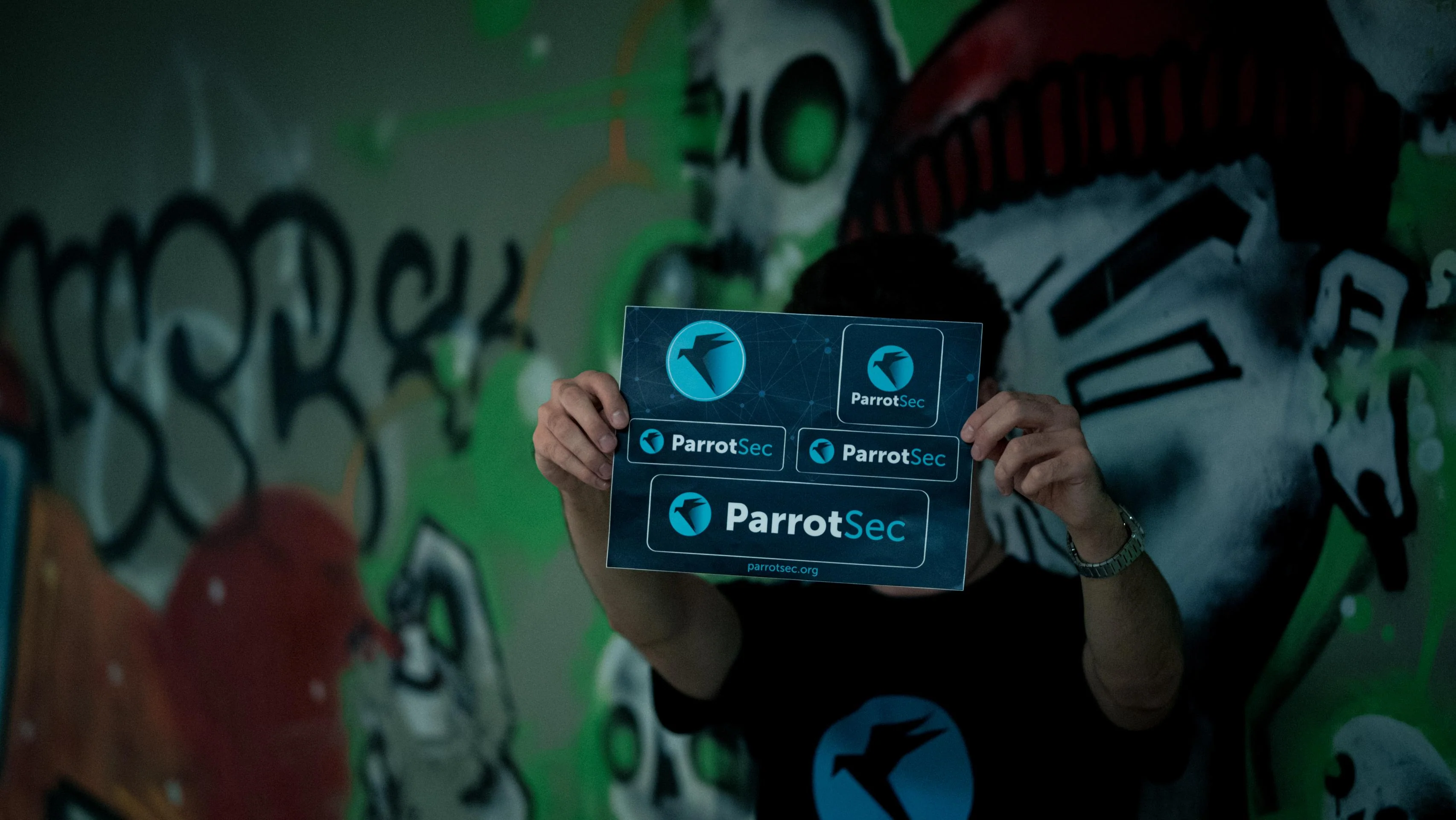 5x ParrotSec Sticker Sheet - Image 12