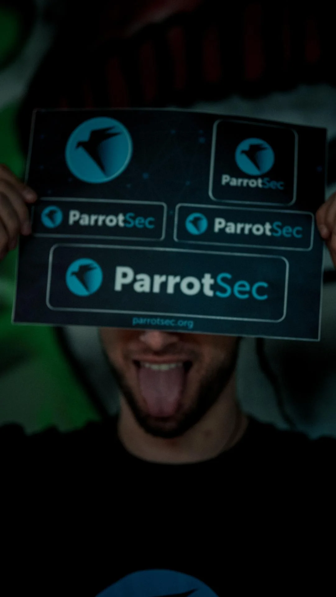 5x ParrotSec Sticker Sheet - Image 13
