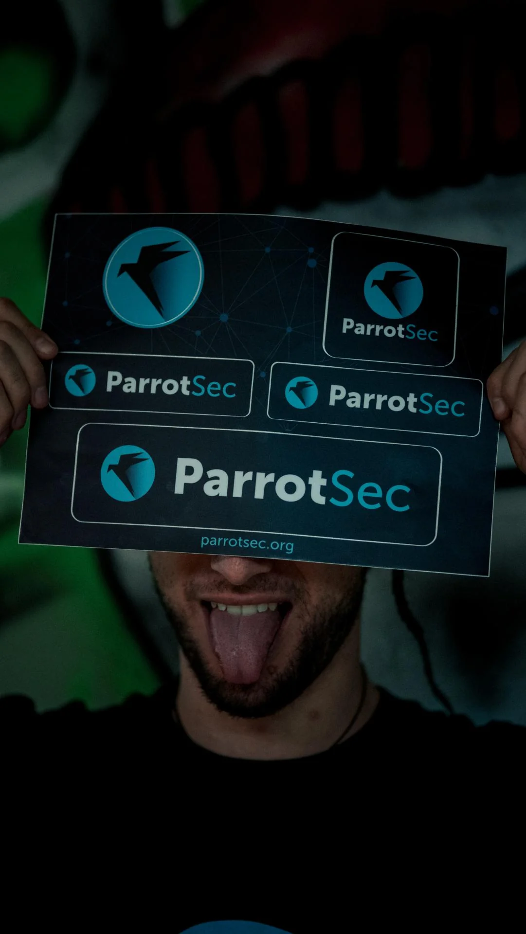 5x ParrotSec Sticker Sheet - Image 14