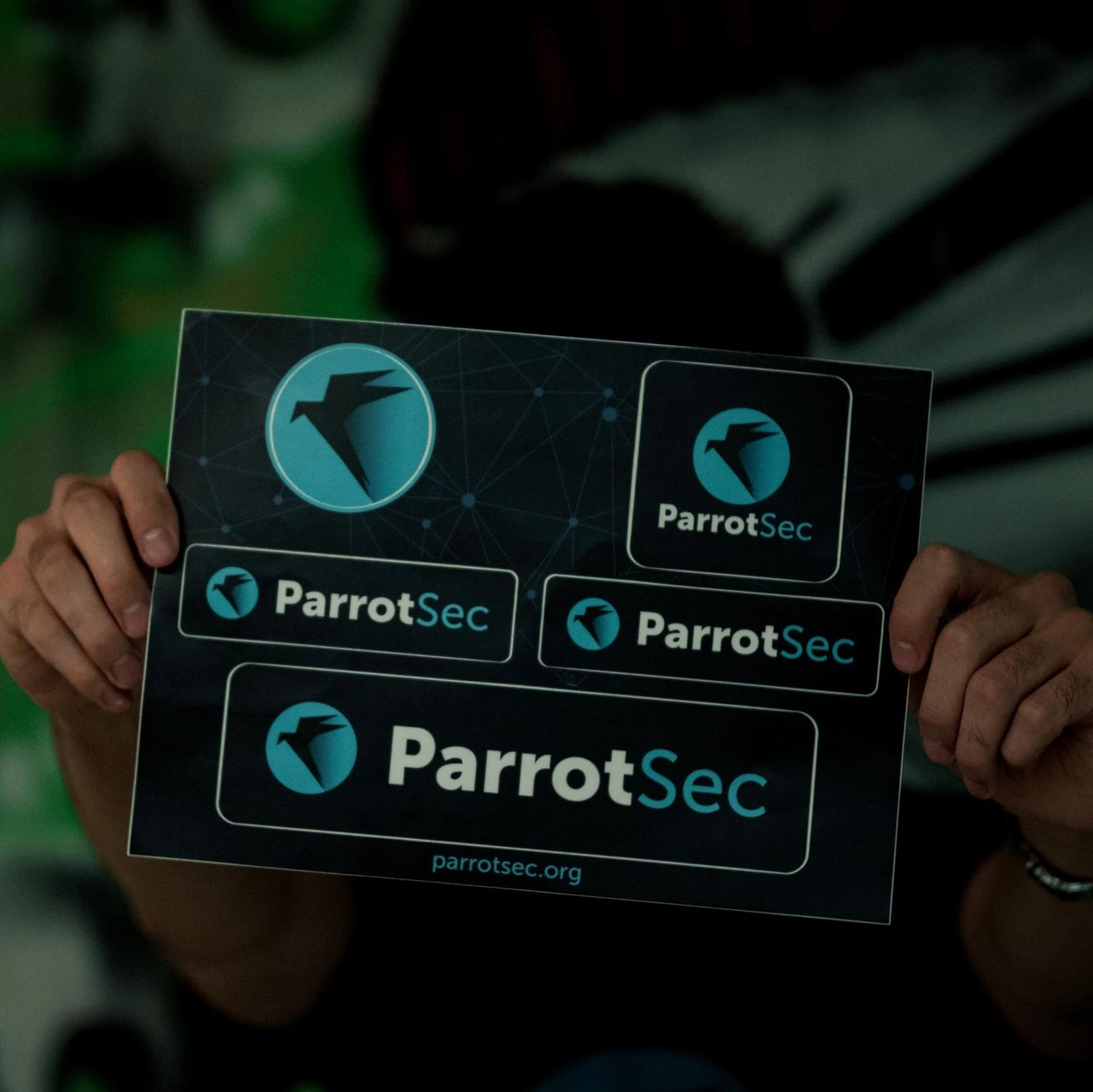5x ParrotSec Sticker Sheet - Image 6