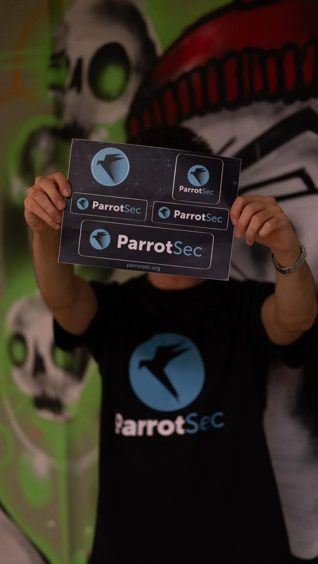 5x ParrotSec Sticker Sheet - Image 8